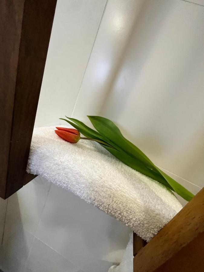 Apartma Ksela Mala Nedelja Екстер'єр фото