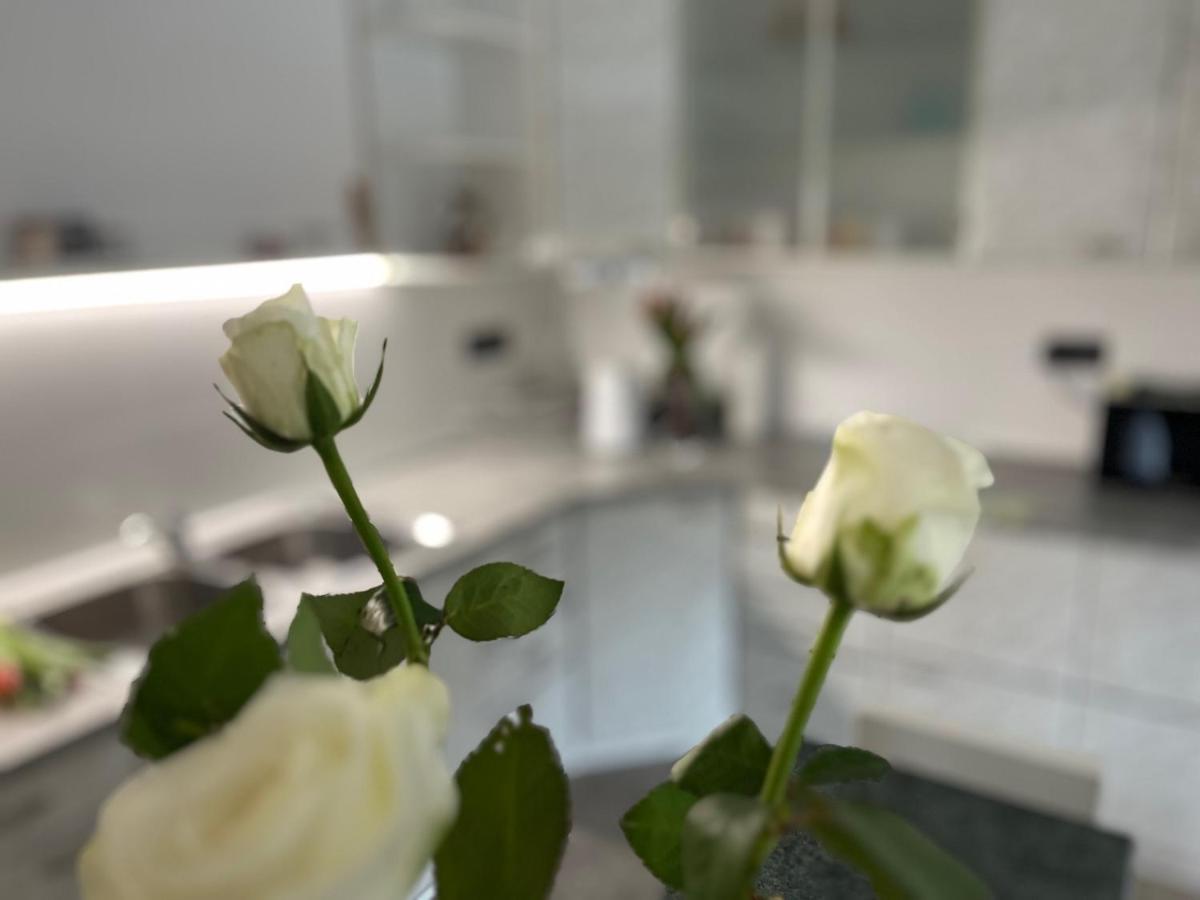 Apartma Ksela Mala Nedelja Екстер'єр фото